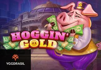 Hoggin’ Gold